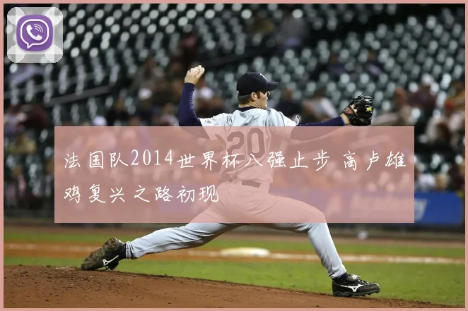 法国队2014世界杯八强止步 高卢雄鸡复兴之路初现