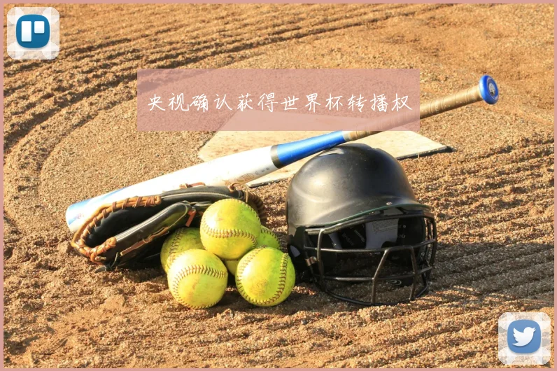央视确认获得世界杯转播权