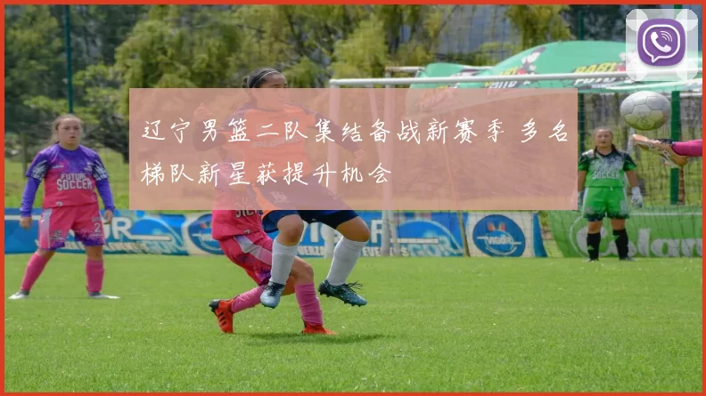 辽宁男篮二队集结备战新赛季 多名梯队新星获提升机会